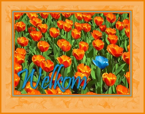 clubset tulp welkomÃÆÃâÃâÃÂ¢ÃÆÃ¢Ã¢ââ¬Ã
¡ÃâÃÂ¬ÃÆÃ¢â¬Å¡Ãâæ